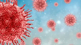 chandipura-virus-28-children-died-since-july-in-gujarat-confirms-state-health-minister
